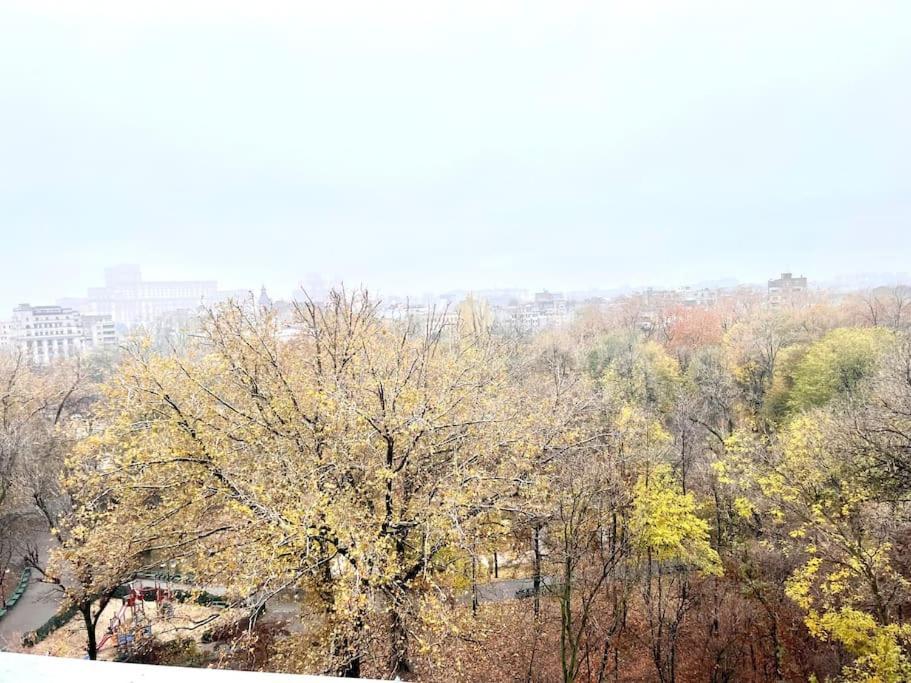شقة بوخارست  في Panoramic Lil' Paris المظهر الخارجي الصورة